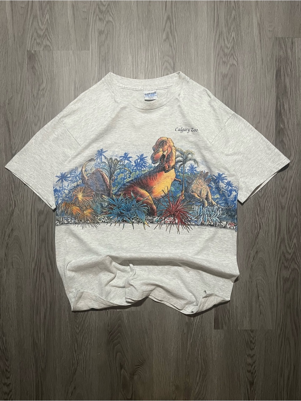 Vintage 90s Calgary Zoo dinosaur wraparound, graphic nature T-shirt men’s large